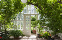 free Camel Green orangery quotes